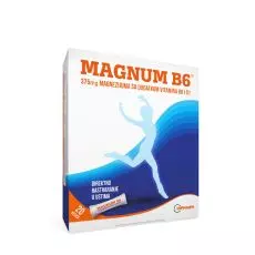 Magnum B6 20 kesica - photo ambalaze