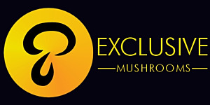Exclusive Mushrooms