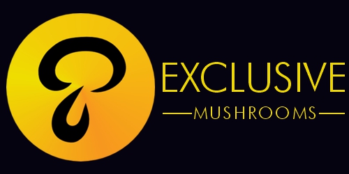 Exclusive Mushrooms