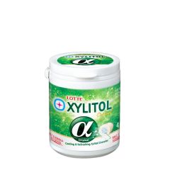 Xylitol Original 41 kom